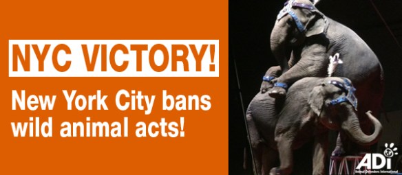 EALERT BANNER 21.06.2017 V3